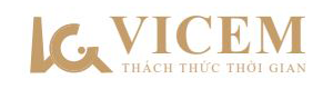 vicemvn