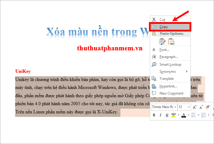 Màu chữ màu nền trong Microsoft Word  How Kteam